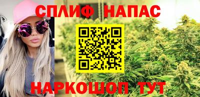 молекула духа Бийск