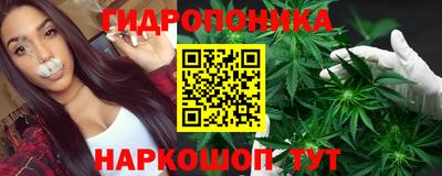 молекула духа Бийск