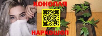 СК Беслан
