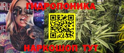 молекула духа Бийск