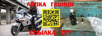 молекула духа Бийск