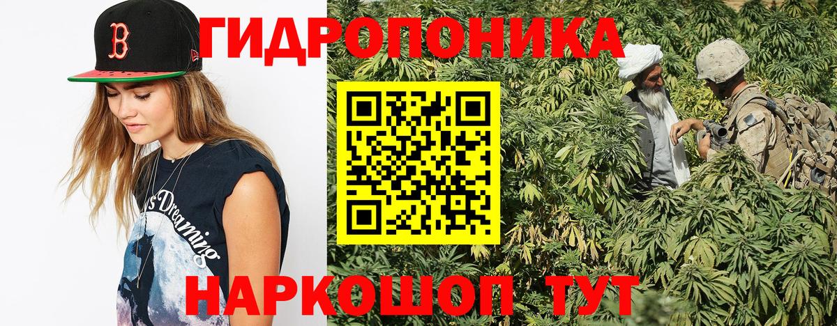 Конопля SATIVA & INDICA Заволжье